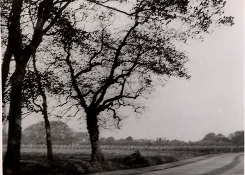 Field, now Crispe Park